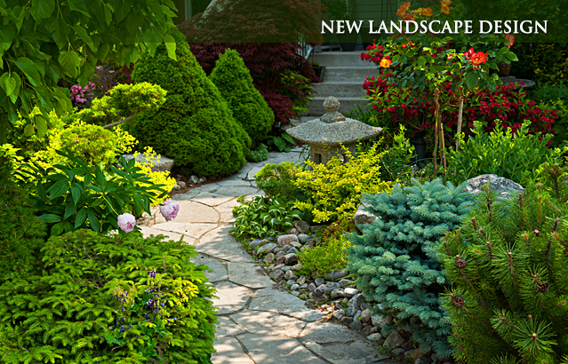 New Landscape Design