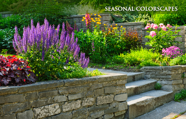 Seasonal Colorscapes